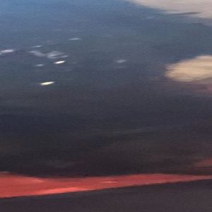 Meet your Posher, Amelia